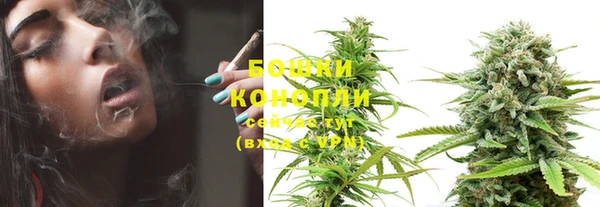прущие крисы Белоозёрский