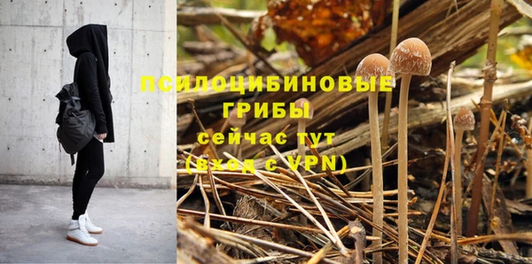 марки nbome Беломорск
