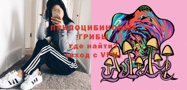 прущие крисы Белоозёрский