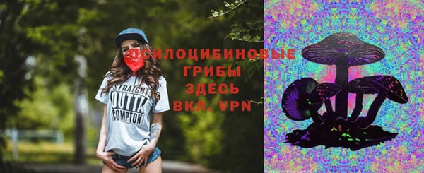 jwh Белокуриха